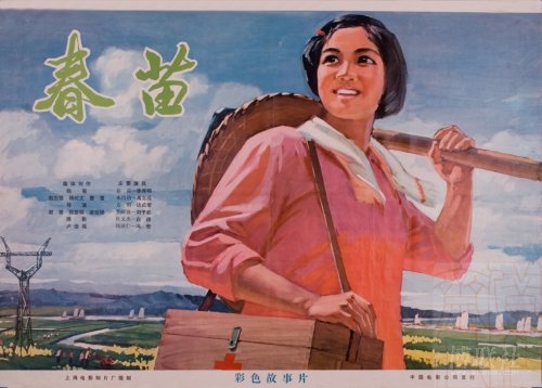 战网台湾身份证无效的数值